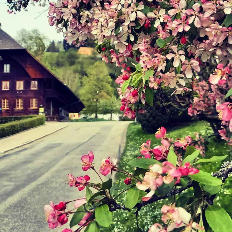 Emme Lodge Langnau Exterior foto