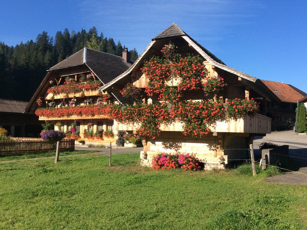 Emme Lodge Langnau Exterior foto