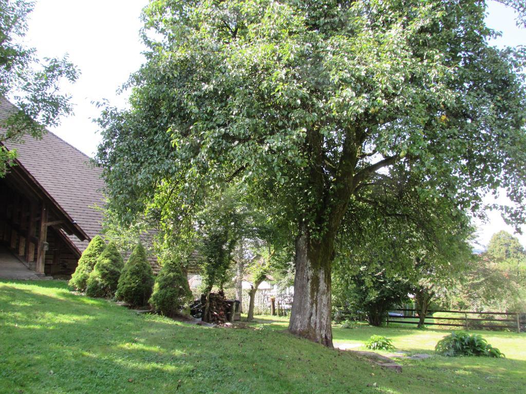 Emme Lodge Langnau Exterior foto